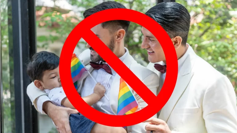 Homoseksualni parovi nemaju pravo na djecu