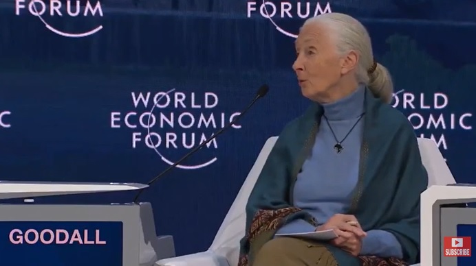 Govornica na Svjetskom ekonomskom forumu: Smanjiti broj ljudi za 90 posto