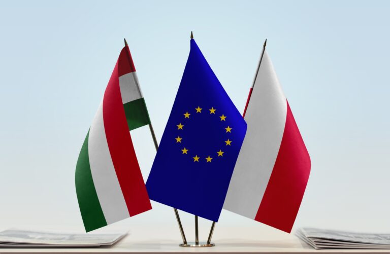 PREZIRU ZDRAVI RAZUM Nesposobni i potkapacitirani bruxelleski birokrati ponovno prijete Poljskoj i Mađarskoj