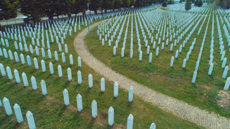 O BiH imaju potrebu govoriti potpuni diletanti i poluinteligenti, sada su i Hrvate optužili za genocid u Srebrenici